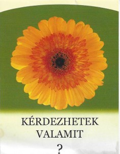 kerdezhetek-valamit5